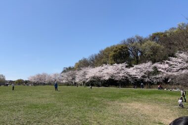 春休みを終えて